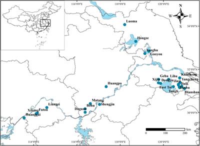 Carbon, Nitrogen, and Phosphorus Allocation Strategy Among Organs in Submerged Macrophytes Is Altered by Eutrophication